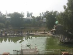-北京鹿世界主题园