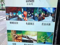-上海大自然野生昆虫馆(东方明珠·爬宠昆虫探索中心)