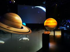 -贝林大翅鲸简餐厅(国家海洋博物馆店)