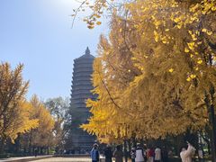 -玲珑塔公园