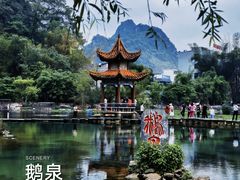 -靖西鹅泉风景区