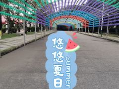 -海上田园