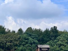 -江西龙虎山景区