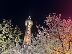 -东方明珠广播电视塔