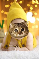 -哈尼Honey baby 儿童摄影(立丰国际公寓店)