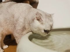 -华盛丰温州大排档(东三环南路店)