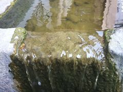 -古韵餐厅(湖畔大学店)