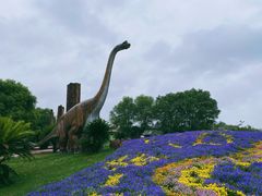 -南通洲际绿博园