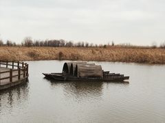 -宁波杭州湾国家湿地公园