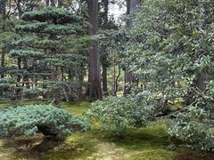 -西芳寺(苔寺)