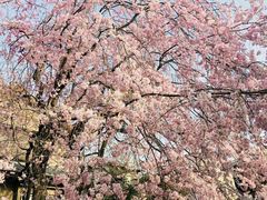 -成都濑川外国语学校