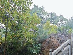 -伏龙山滑翔伞基地