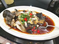 -驻海渔市(置信店)