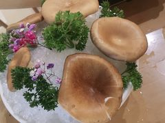 新鲜猪肚菌-湯系·煲汤手艺人(东二环泰禾广场店)