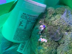-盒马鲜生(杭州运河上街店)