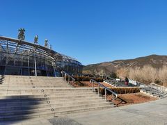 -北京植物园-展览温室
