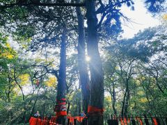 -北陵公园