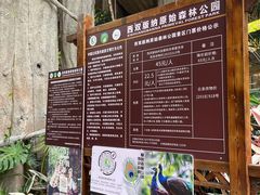 -西双版纳原始森林公园