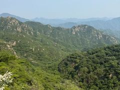 -大岭沟猕猴桃谷风景区
