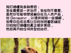 -瑞派申生动物医院·24H夜诊·国际动物医疗中心·骨外科(吴中路店)