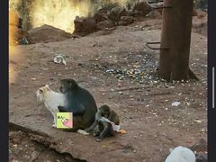 -昆明动物园