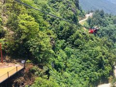 -梦幻奥陶纪景区