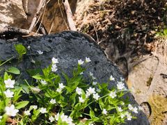 -九鼎铁刹山风景区