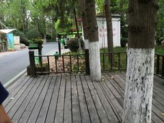 -合肥滨湖国家森林公园