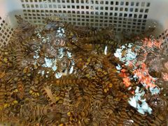 -202特色排档(五缘湾店)