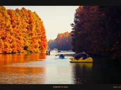 -上海海湾国家森林公园