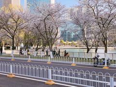 -西北湖绿化广场