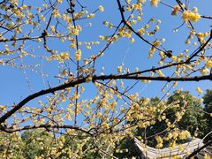 -木渎古镇
