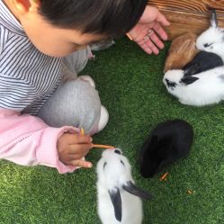 -萌宠亲子动物乐园(槐房万达店)