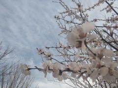 -廊坊市自然公园