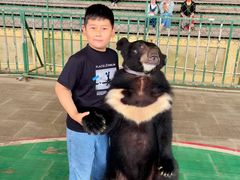 -东方熊牧场