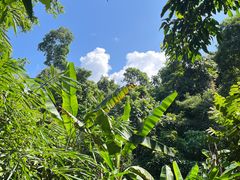 -中国科学院西双版纳热带植物园