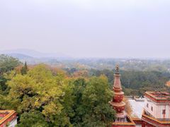 -颐和园