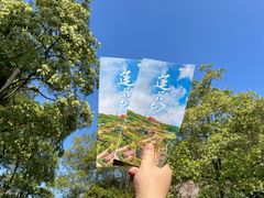 -广州莲花山旅游区