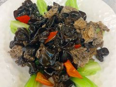 巴楚菇野木耳-汗腾格里·风味餐厅(新疆驻京办店)