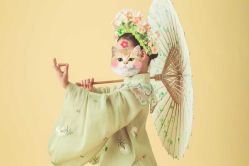-倾城宝贝儿童摄影(浦东金谊店)