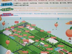 -前小桔亲子创意农场·草莓采摘·露营烧烤