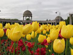 -长春公园(普阳街道)