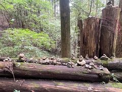 -上色见熊野座神社