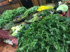 -昆虫窝子·特色云南菜(拓东路总店)