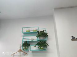 -佐康专业祛痘