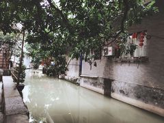 -小洲村