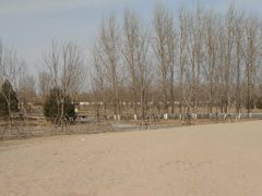 -东郊湿地公园
