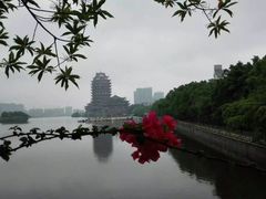 -眉山湿地公园(东坡区)