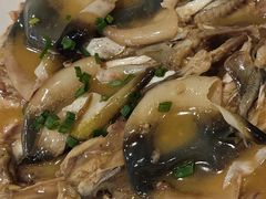 河豚鱼-9号小厨师(端平桥店)