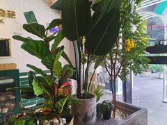 -做披萨的奇葩(中海央墅店)